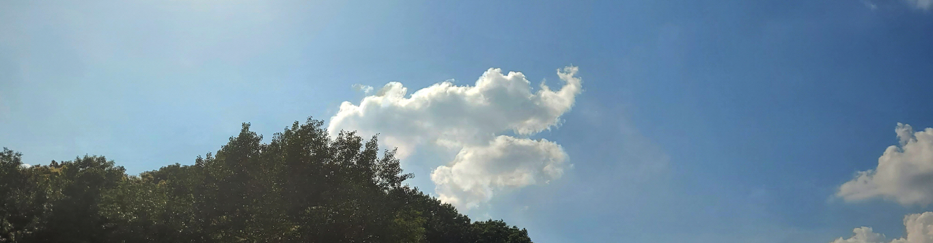 필라테스 위로 마곡 원격평생교육원 이미지