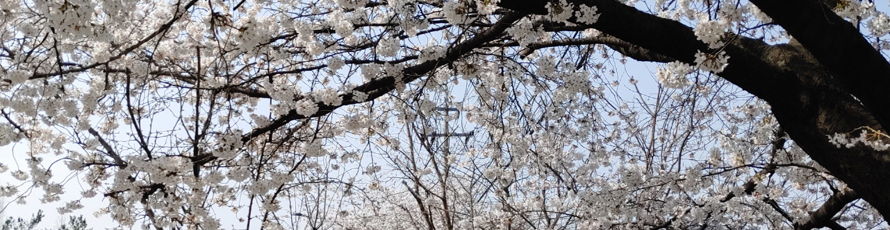 필라테스 위로 마곡 원격평생교육원 이미지
